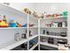 Well-organized pantry with ample shelving for storage at 29681 W Columbus Ave, Buckeye, AZ 85396