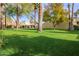 Green lawn with palm trees and building in the background at 6540 N 7Th Ave # 49, Phoenix, AZ 85013