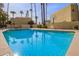 Refreshing community pool surrounded by palm trees at 6540 N 7Th Ave # 49, Phoenix, AZ 85013