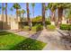 Landscaped walkway with mature palm trees leads to the community pool and buildings at 6540 N 7Th Ave # 49, Phoenix, AZ 85013