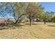 Large backyard with mature trees and mountain views at 1019 E Belmont Ave, Phoenix, AZ 85020