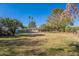 Large backyard with grassy area and mature trees at 1019 E Belmont Ave, Phoenix, AZ 85020