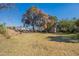 Spacious backyard with shed, mature trees, and mountain views at 1019 E Belmont Ave, Phoenix, AZ 85020