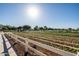 Community garden with rows of vegetables and a white fence at 10315 E Palladium Dr, Mesa, AZ 85212