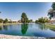 Scenic view of a community lake at 11019 W Ventana W Dr, Sun City, AZ 85373