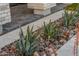 Landscaped area with agave plants and river rock at 1115 E Gleneagle St, Chandler, AZ 85249