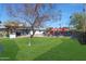 Spacious backyard with grassy area, mature trees, and pool at 1125 E Northview Ave, Phoenix, AZ 85020