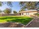 Spacious backyard with grassy lawn, mature trees, and gravel landscaping at 1301 E Ibis St, Gilbert, AZ 85297