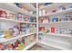 Well-organized pantry with ample shelving for storage at 1301 E Ibis St, Gilbert, AZ 85297