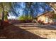 Large backyard with mature trees and ample space at 16173 W Monroe St, Goodyear, AZ 85338