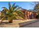 House exterior showcasing a palm tree and gravel landscaping at 16173 W Monroe St, Goodyear, AZ 85338