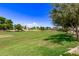 Open green space with mature trees and homes in the background at 3317 N 300Th Dr, Buckeye, AZ 85396