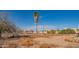 Large backyard with a tall palm tree and partial fence at 3616 S 67Th Ave, Phoenix, AZ 85043