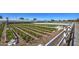 Rows of leafy greens and other produce at the community farm at 5015 S Quantum Way, Mesa, AZ 85212