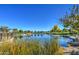 Scenic community lake with ducks and trees at 5015 S Quantum Way, Mesa, AZ 85212