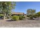 Landscaped backyard with mature trees and desert plants at 5500 N Globe Dr, Eloy, AZ 85131