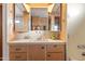 Bathroom with large vanity and mirrored cabinet at 7807 E Main St # B-15, Mesa, AZ 85207