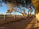 Expansive backyard with mature shade trees, desert landscaping, and wrought iron fence at 11802 S Half Moon Dr, Phoenix, AZ 85044