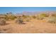 Desert lot with mountain views and native vegetation at 12246 E Pivot Peak E --, Gold Canyon, AZ 85118