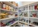 Well-organized pantry with ample shelving for storage at 12474 E Soloman Rd, Gold Canyon, AZ 85118