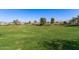 Spacious grassy park area with views of surrounding homes at 12808 N 144Th Dr, Surprise, AZ 85379