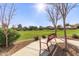 Red park bench overlooking a grassy area and homes at 12808 N 144Th Dr, Surprise, AZ 85379