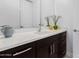 Modern bathroom vanity with dark brown cabinets and white countertop at 13713 W Harvest Ave, Litchfield Park, AZ 85340