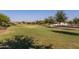 Open green space perfect for recreation at 13713 W Harvest Ave, Litchfield Park, AZ 85340