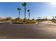 Residential street with palm trees at 13713 W Harvest Ave, Litchfield Park, AZ 85340