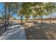 Peaceful community park with a walking path, lush trees, and a shaded bench at 16000 W Sherman St, Goodyear, AZ 85338