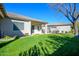 Landscaped backyard with grassy lawn and partial view of home at 23901 S Vacation Way, Sun Lakes, AZ 85248