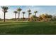 Expansive green lawn with a shaded pergola and palm trees at 26111 N 23Rd Ave, Phoenix, AZ 85085