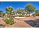 Landscaped backyard with a relaxing patio area and lush desert plants at 29619 N 60Th St, Cave Creek, AZ 85331