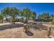 Spacious backyard oasis featuring a swimming pool and fire pit, ideal for entertaining at 29619 N 60Th St, Cave Creek, AZ 85331