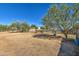 Spacious horse corral with several horses visible at 29619 N 60Th St, Cave Creek, AZ 85331