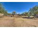 Two horses in a paddock with metal fencing at 29619 N 60Th St, Cave Creek, AZ 85331