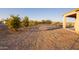 Landscaped backyard with several small trees and shrubs at 34214 W Sahuaro St, Tonopah, AZ 85354