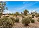 Landscaped view of a lush green golf course at 3677 N Hudson Dr, Florence, AZ 85132