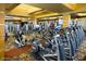 Fitness center with a variety of cardio and weight machines at 8088 W Cinder Brook Way, Florence, AZ 85132