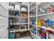 Well-organized pantry with ample shelving for food storage at 904 E Hampton Ln, Gilbert, AZ 85295