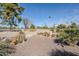 Expansive backyard showcasing desert landscaping and multiple plants, offering a tranquil outdoor oasis at 10814 W Palmeras Dr, Sun City, AZ 85373