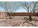 Landscaped backyard with two trees and paved patio at 1719 W Owens Way, Anthem, AZ 85086