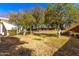 Landscaped backyard with mature trees and grassy area at 178 Leisure World --, Mesa, AZ 85206
