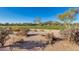 Scenic view of a lush golf course with desert landscape at 33286 N 71St St, Scottsdale, AZ 85266