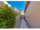 Landscaped side yard with a stone pathway and lush greenery at 33286 N 71St St, Scottsdale, AZ 85266