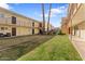 Ground level view of the community courtyard with grass and trees at 4600 N 68Th St # 370, Scottsdale, AZ 85251