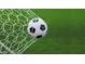 Soccer ball in net on artificial turf at 5817 E Leith Ln, Scottsdale, AZ 85254