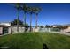 Gated community pool area with grassy lawn and palm trees at 13612 W Cypress St, Goodyear, AZ 85395