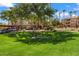 Landscaped grounds with lush lawns and apartment buildings at 14950 W Mountain View Blvd # 3209, Surprise, AZ 85374
