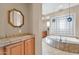 Bathroom with large soaking tub and glass block feature wall at 37181 N 103Rd St, Scottsdale, AZ 85262